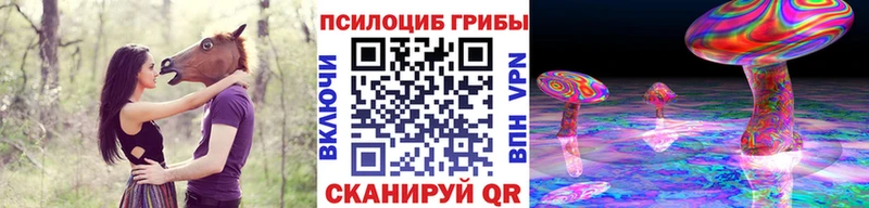 Псилоцибиновые грибы прущие грибы  магазин продажи наркотиков  Усть-Джегута 